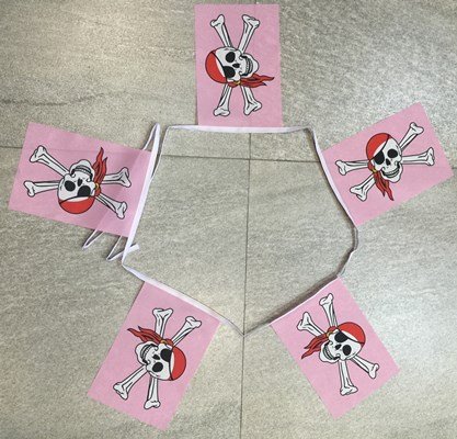 skullandcrossbonespinkpiratebunting 6m 20 flag Skull & Crossbones Pink Pirate bunting - Image 1