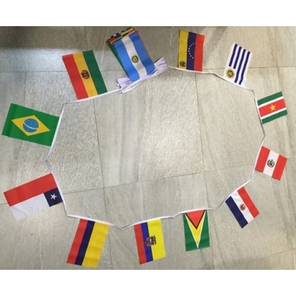 9m 24 flag 6x9 South American Nations bunting