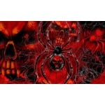Spider Skull 5'x3'