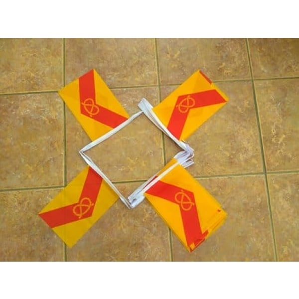 6m 20 flag Staffordshire bunting