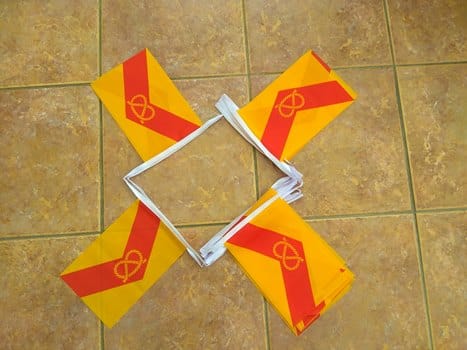 staffordshirebunting 6m 20 flag Staffordshire bunting - Image 1