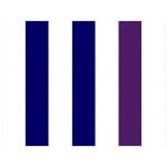 Striped Navy /White 5'x3' - Image 2