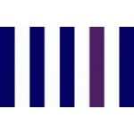 Striped Blue/White 5'x3' - Image 3