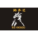 Taekwondo 5'x3'