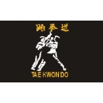Taekwondo 5'x3'