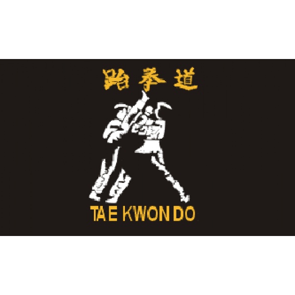 Taekwondo 5'x3'