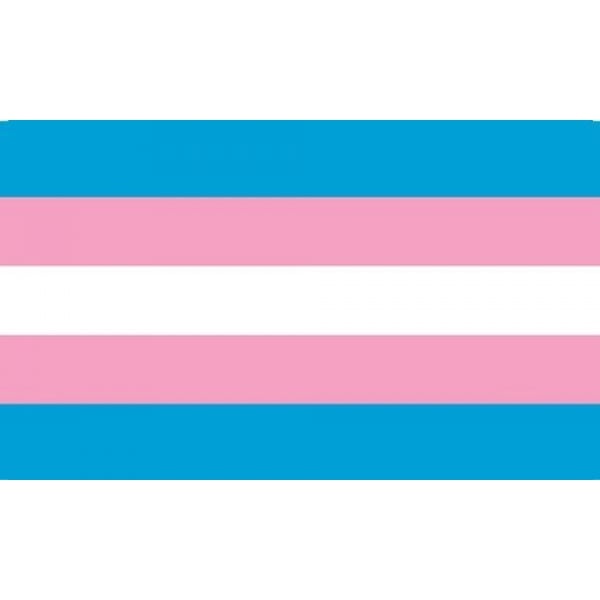 Transgender Gay