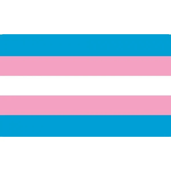 Transgender Gay