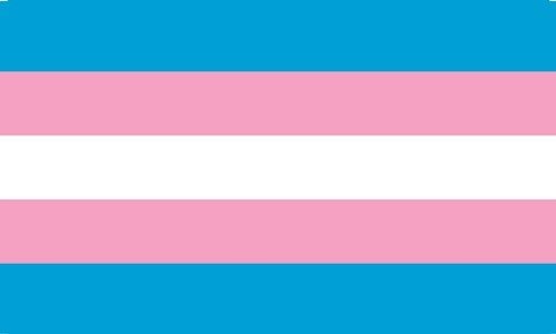Transgender Gay Transgender Gay