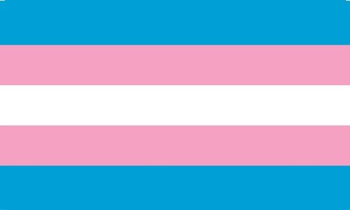 transgender-gay-5253e1ee419c541 Transgender (Monica Helms) gay pride 3'x2' - Image 1