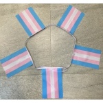 6m 20 flag Transgender (Monica Helms - gay pride) bunting