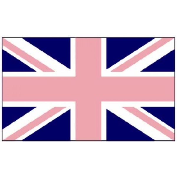 Union Jack (gay pride) with Pink/Blue 5' x 3'