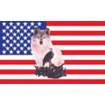 USA with Wolf and Eagle 5'x3'