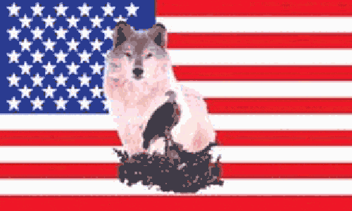 usa-with-wolf-4de64167e5a5e USA with Wolf and Eagle 5'x3' - Image 1