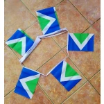 6m 20 flag Vegan bunting