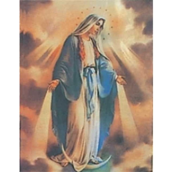 Virgin Mary Shiny 2.4 ' x 3.4'