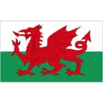 Welsh Dragon medium table flag (Wales)