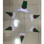 20m 50 flag 8"x12"  Wales triangle  bunting