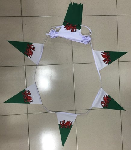 walestribunting5 20m 50 flag 8"x12" Wales triangle bunting - Image 1