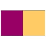 Purple/Gold Vertical Stripe 5'x3'