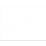 Plain White medium hand flag