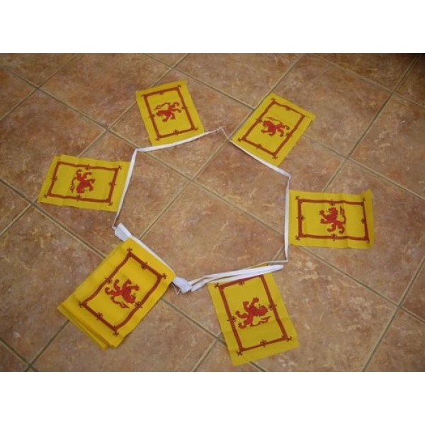 3m-10-flag-lion-rampant