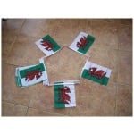 3m 10 flag Welsh Dragon  (Wales) Bunting - Image 2