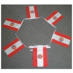 6m 20 flag French Polynesia bunting - Image 2