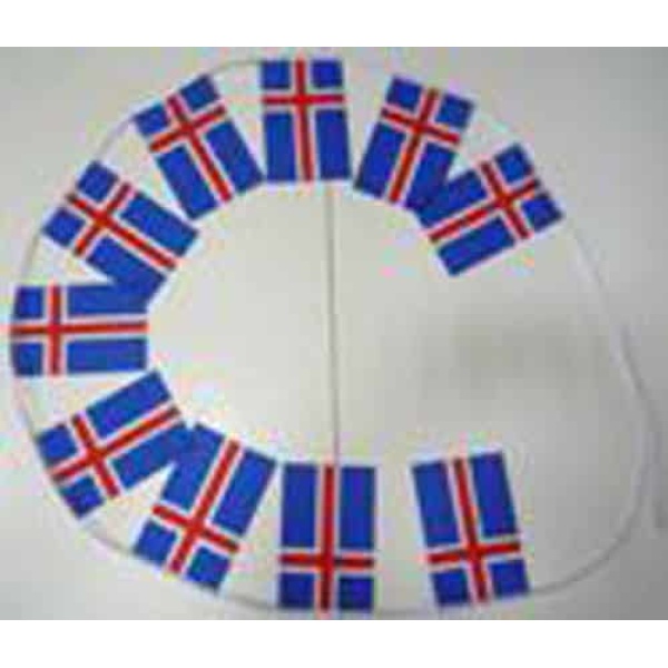 6m 20 Flag Iceland Bunting