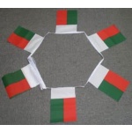 6m 20 flag Madagascar bunting