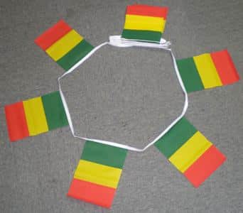 6m-20-flag-mali-4ffae62525502 6m 20 flag Mali bunting - Image 1
