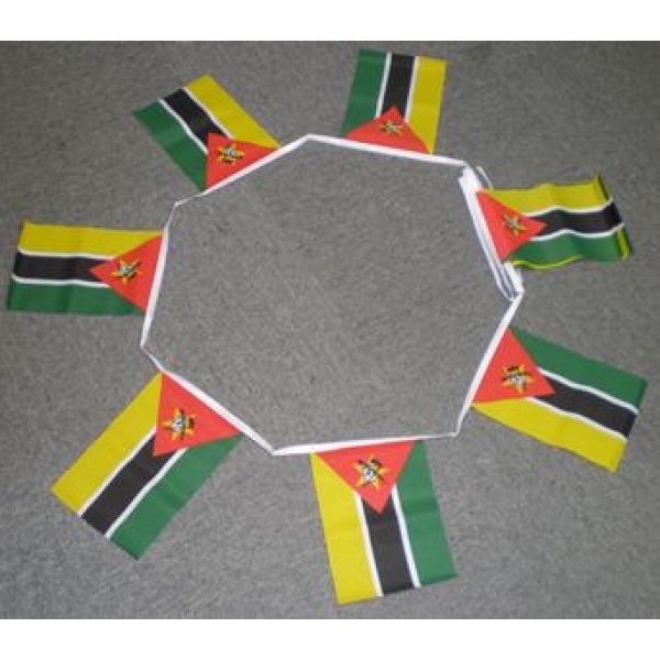 6m 20 flag Mozambique bunting