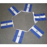 6m 20 flag Nicaragua bunting