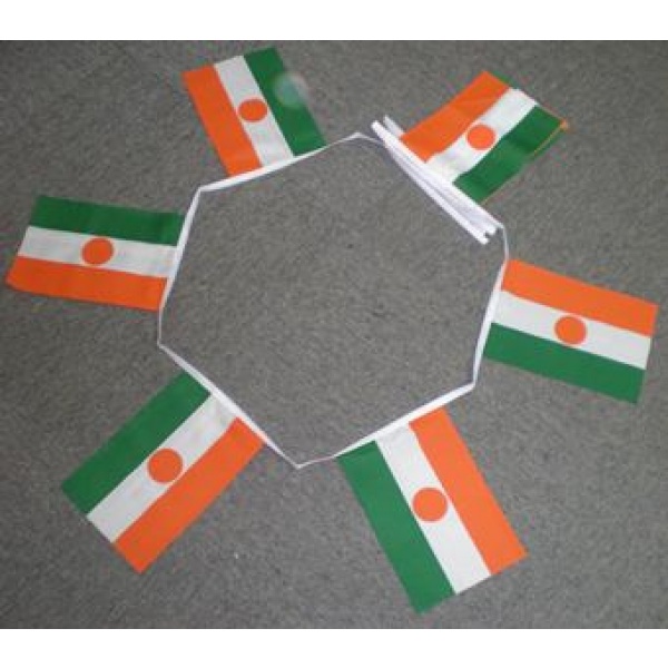 6m 20 flag Niger bunting