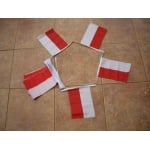 6m 20 Flag Poland Bunting
