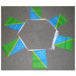 6m 20 flag Solomon Islands bunting - Image 2