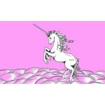 Unicorn Pink 5'x3'