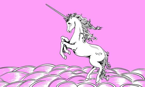 Unicorn pink Unicorn Pink 5'x3' - Image 1