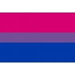 Bisexual Flag