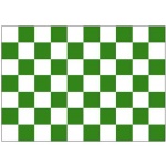 Checkered Green/White hand flag