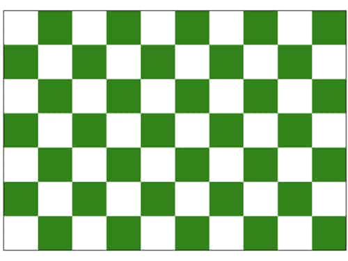 checkered-green-5293573181191 Checkered Green/White hand flag - Image 1