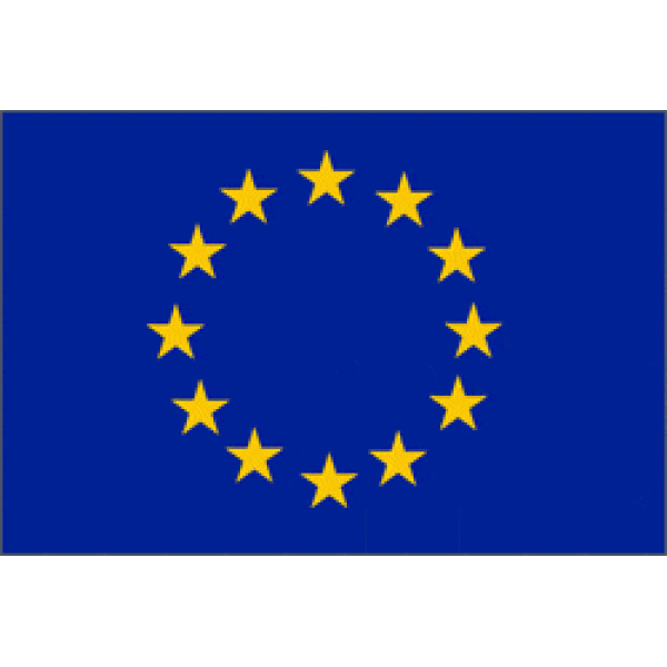 Giant Euro Blue Stars (European Union) 8'x5'