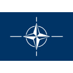 NATO Hand Flag
