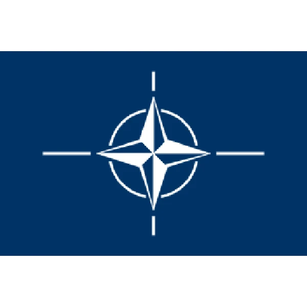 NATO Hand Flag