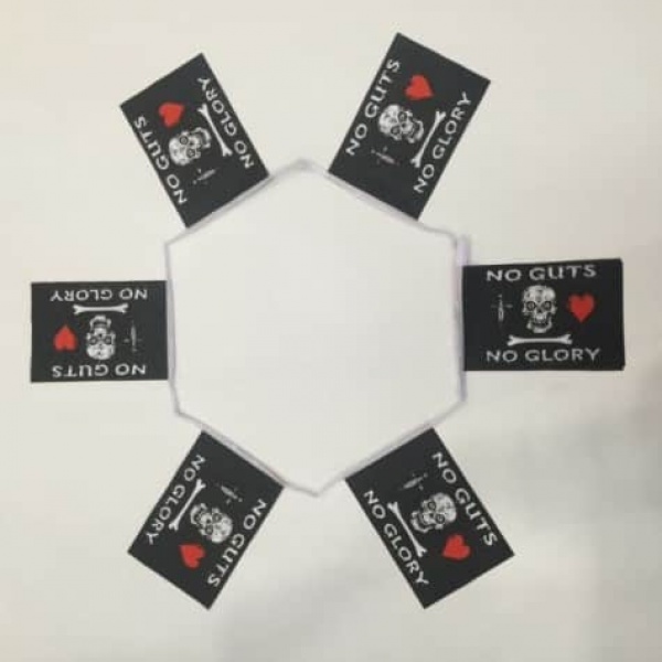 6m 20 flag No Guts bunting