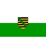 Saxony 5'x3'