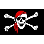 Giant Skull and Scarf 8'x5'