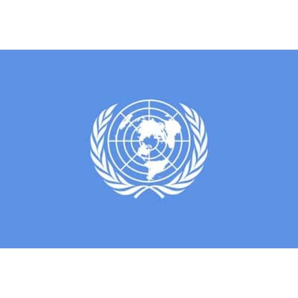 United Nations (UN) medium hand flag