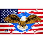 USA Eagle 5'x3'