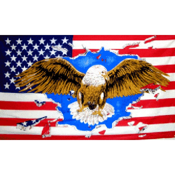 USA Eagle 5'x3'